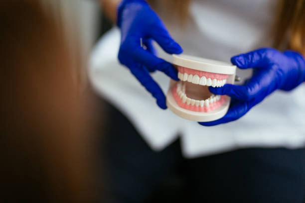 Best Root Canal Treatment  in St Cloud, FL